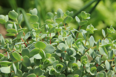 Similar image 646702