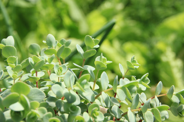 Similar image 646704