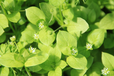 Similar image 646707