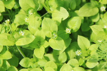 Similar image 646708