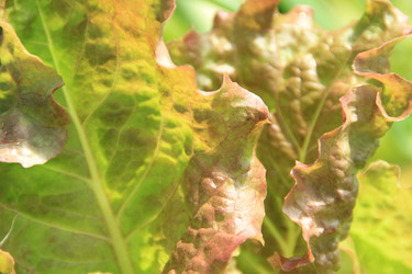 Similar image 646711