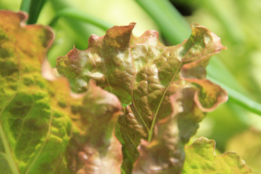 Similar image 646712