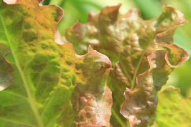 Similar image 646715