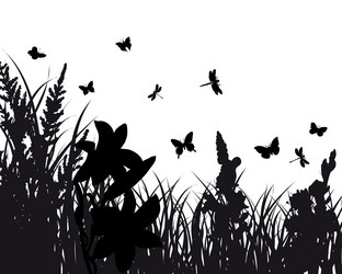 Similar image 646717