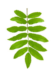 Similar image 646719