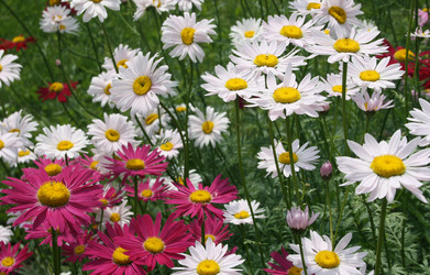 Similar image 646721