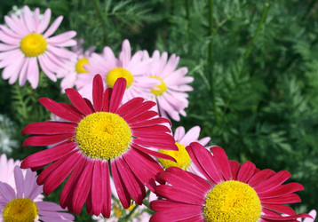 Similar image 646723