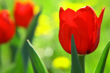 Similar image 646739