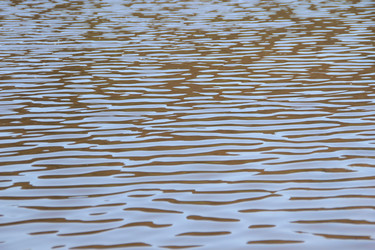 Similar image 646764