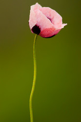 Similar image 646798