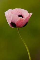 Similar image 646800