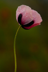 Similar image 646802