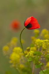 Similar image 646804