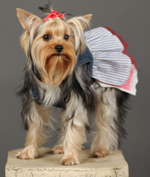 Similar image 646805