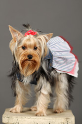 Similar image 646806