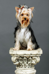 Similar image 646811