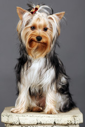 Similar image 646814