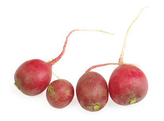 Similar image 646838