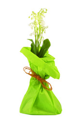 Similar image 646843