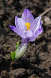 Similar image 646844