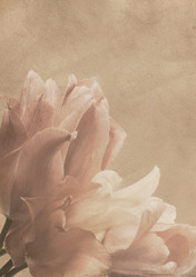 Similar image 646856