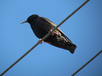 Similar image 646863