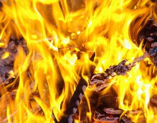 Similar image 646882