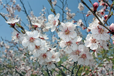 Similar image 646897