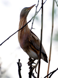 Similar image 646912