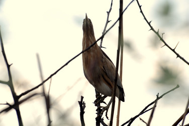 Similar image 646914