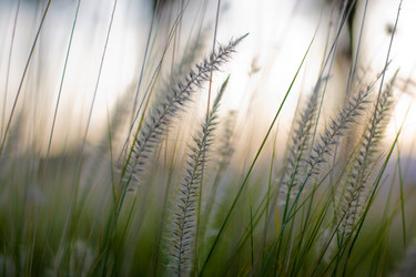 Similar image 646943