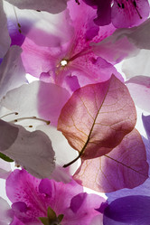 Similar image 646973