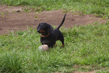 Similar image 647008