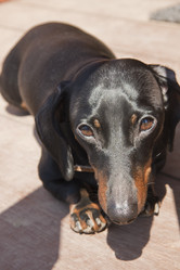 Similar image 647012