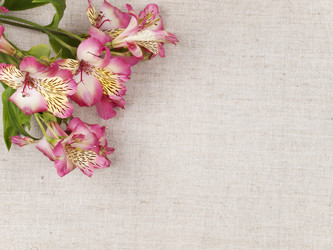 Similar image 647026