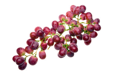 Similar image 647032