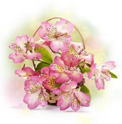 Similar image 647034