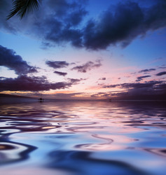 Similar image 647041