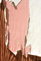 Similar image 647046