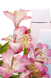 Similar image 647047