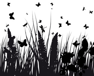 Similar image 647085