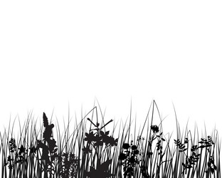 Similar image 647086