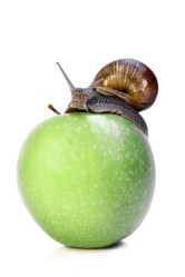 Similar image 647119