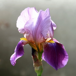 Similar image 647127