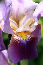 Similar image 647126