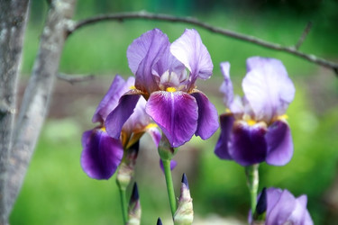 Similar image 647128