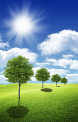 Similar image 647145