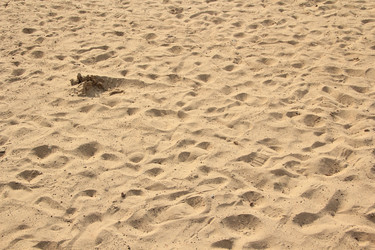 Similar image 647160