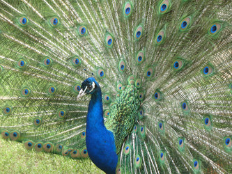 Similar image 647168