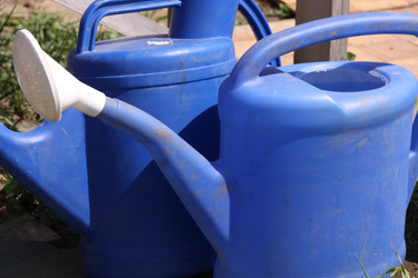 Similar image 647180